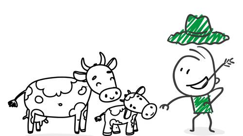 Kühe Beratung Landwirtschaft