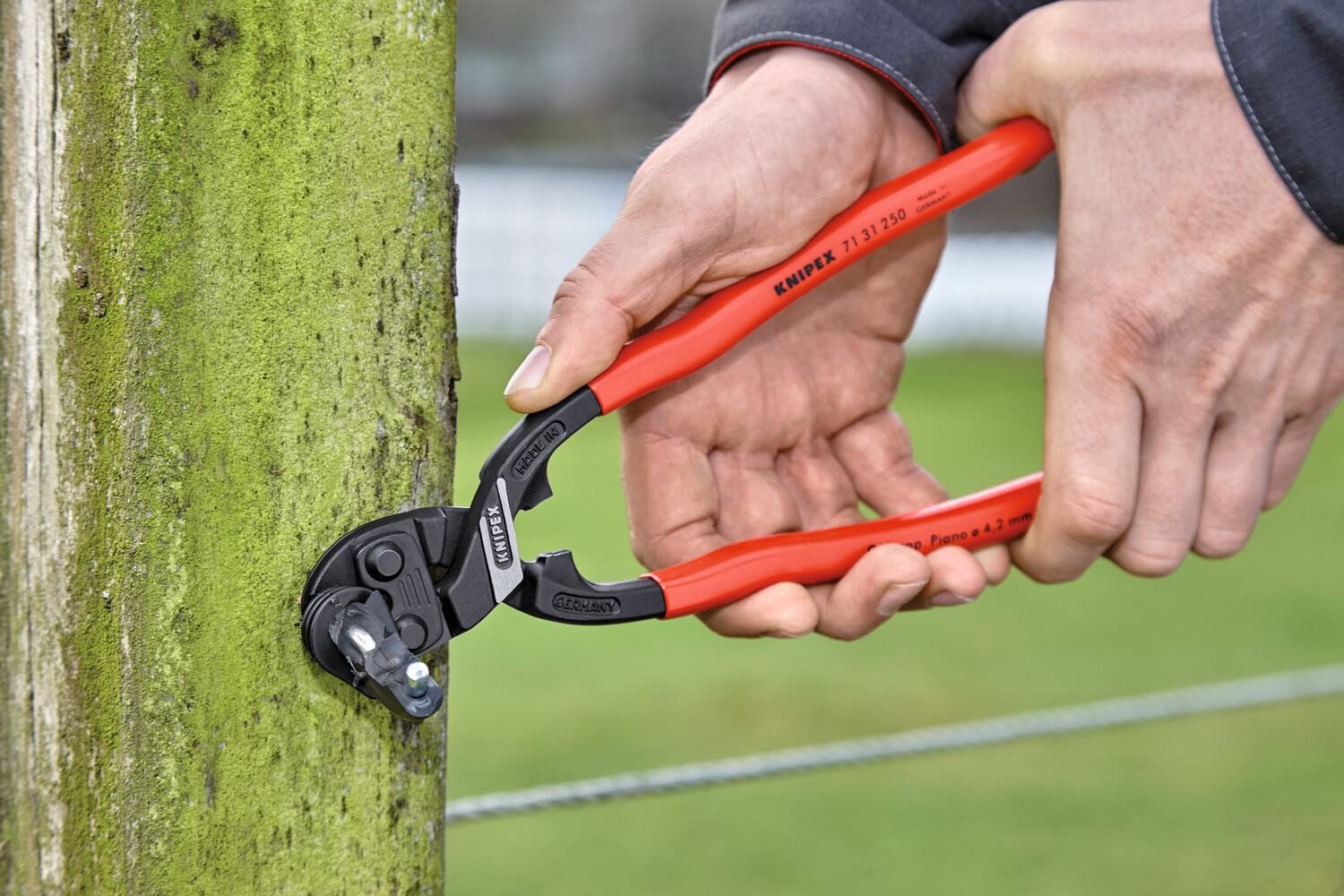 Knipex Bolzenschneider KOMPAKT 25cm - Präzisionsschneider Für Draht, Nägel & Bolzen