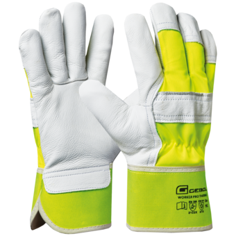 Handschuh "Worker Pro Thermo" 