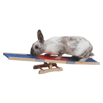 Agility Wippe 60 x 18 x 12 cm 