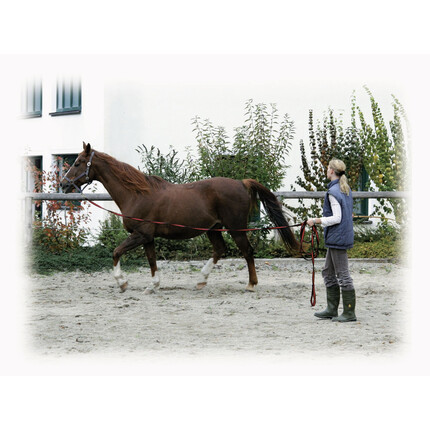 Longierleine Softlonge Schwarz/Rot 8 m Impression #1
