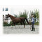 Longierleine Softlonge Schwarz/Rot 8 m Impression #1