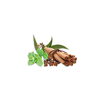 Wellness Sauna Duftkonzentrat Gewürzminze 100 ml